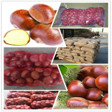 2015 Chinese Organic Fresh Chestnuts Raw Chestnut